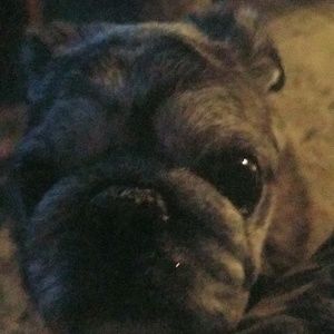 Meet your Posher, Yvette